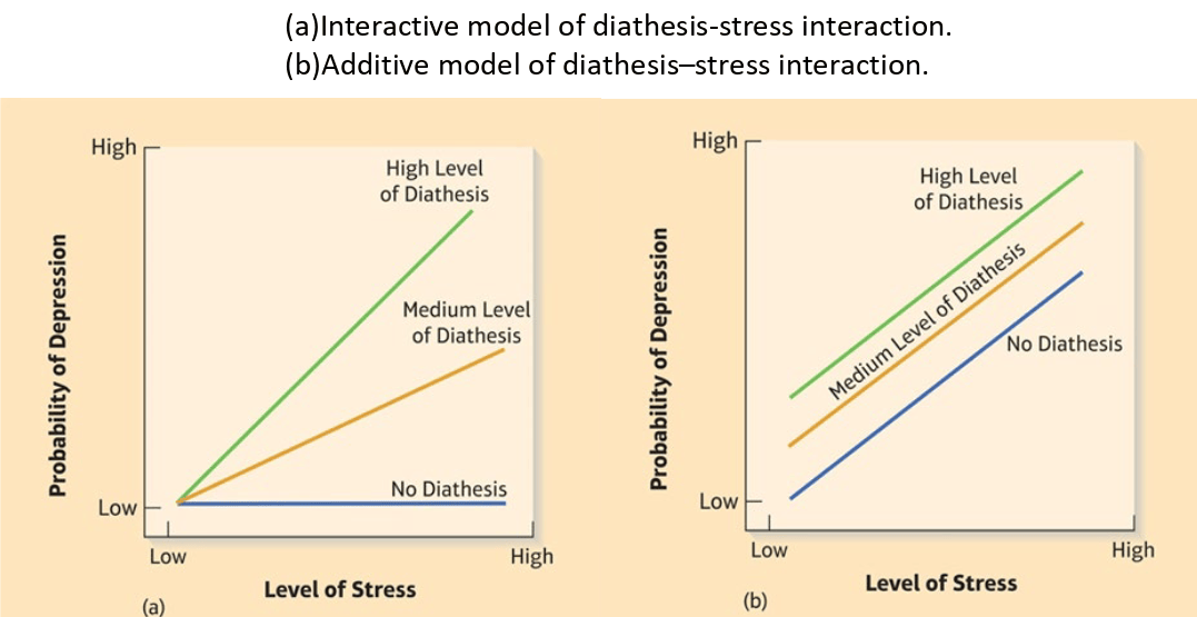 Diathesis-Stress Models